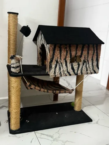 Cada para gato 