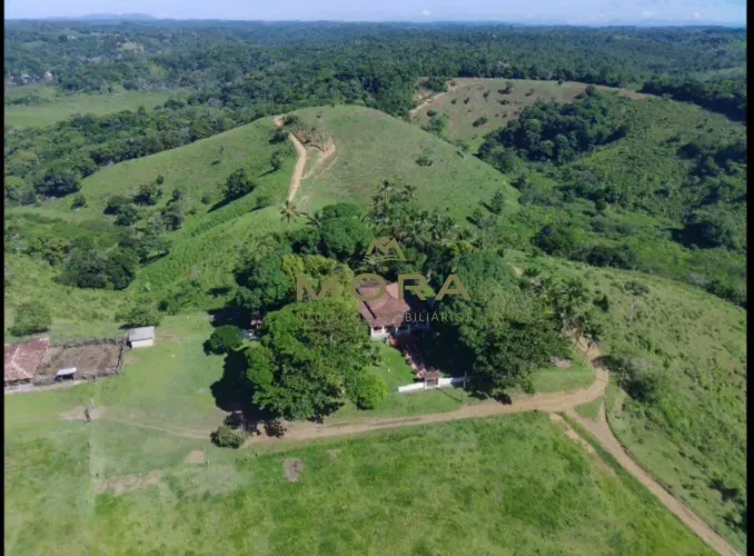 Fazenda à venda, 6 quartos, Nossa Senhora da Vitória - Ilhéus/BA