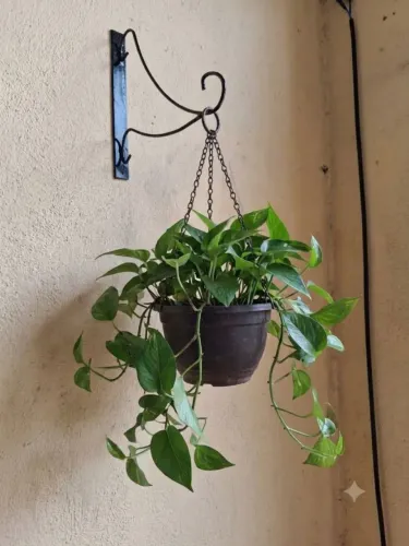 Suporte para vaso de plantas