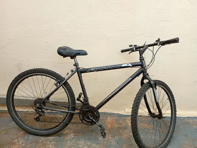 Vendo essa duas bicicletas uma por 150 e a outra 170