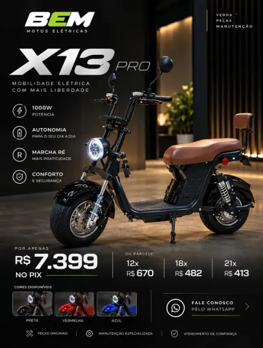 X13 ELÉTRICA - POTÊNCIA, CONFORTO E ECONOMIA/