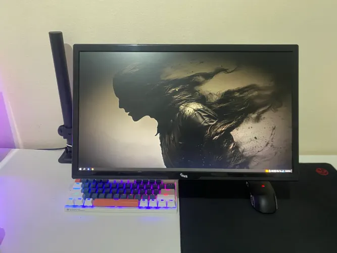 Monitor gamer