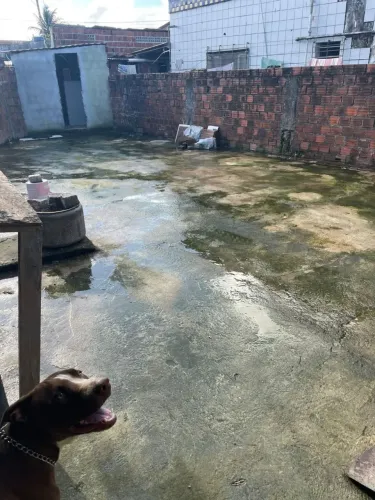 Terreno grande em jardim atlântico
