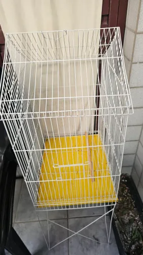 Gaiola