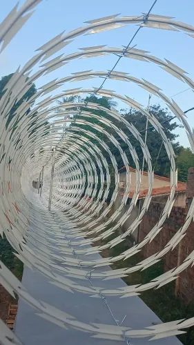 Cerca concertina