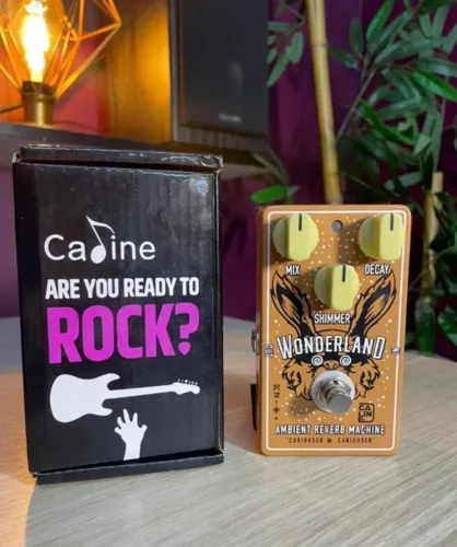 Pedal caline reverb wonderland