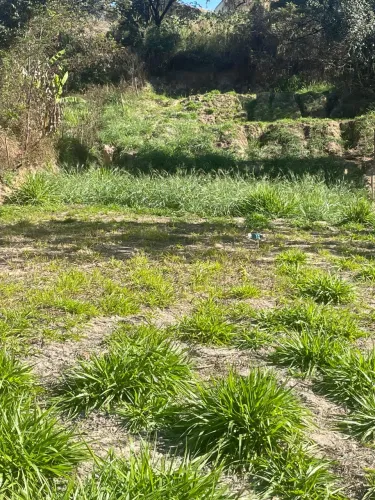 Grande oportunidade em bandeirinha próximo ao futuro aeroporto 