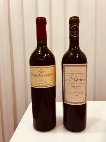 2 Vinhos argentinos