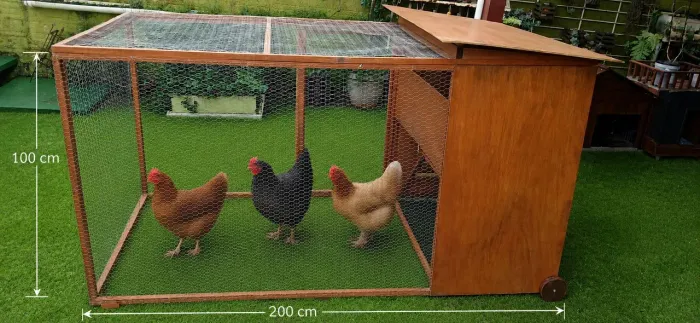 Viveiro Móvel para Galinhas