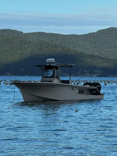 FLY FISH 260 IMPECÁVEL