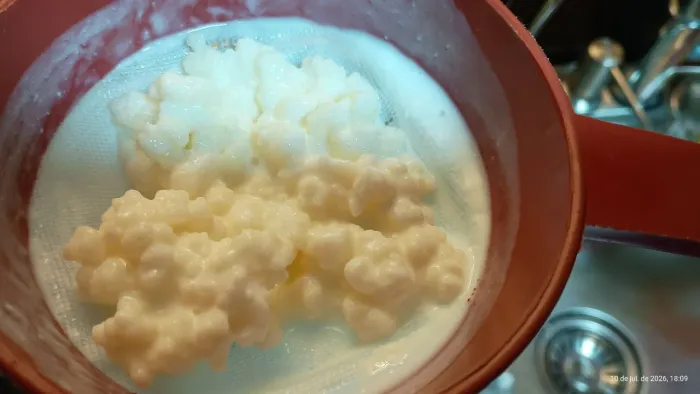 DOA-SE KEFIR DE LEITE ?