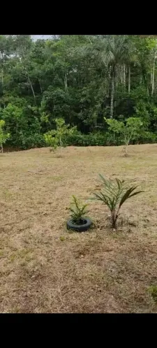 Vendo sítio ou troco por casa em Manaus 