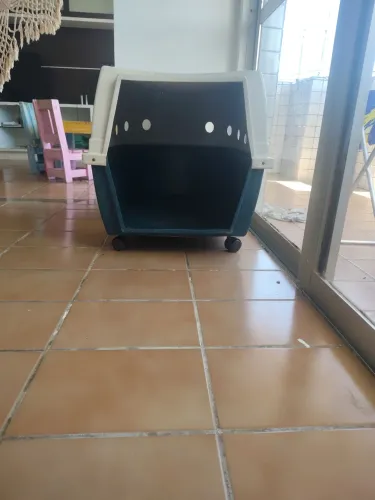 Casinha para cachorro grande, resistente, espaçosa, confortável e fácil de limpar.