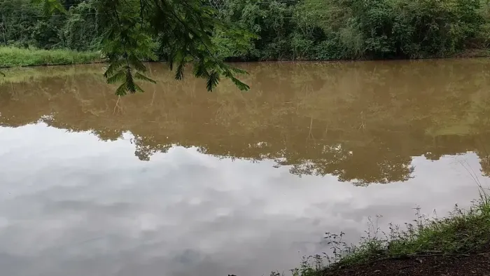 Fazendinha em Cromínia de 7.81 Alqs de Culturão