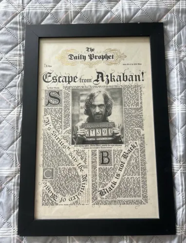 Quadro - Profeta Diário Sirius Black