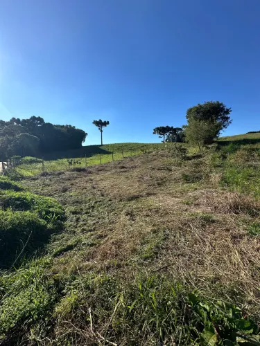 Terreno em contenda