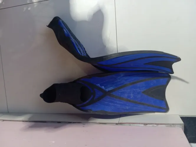 Pé de pato