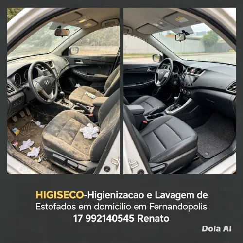 Higienização e Lavagem automotiva