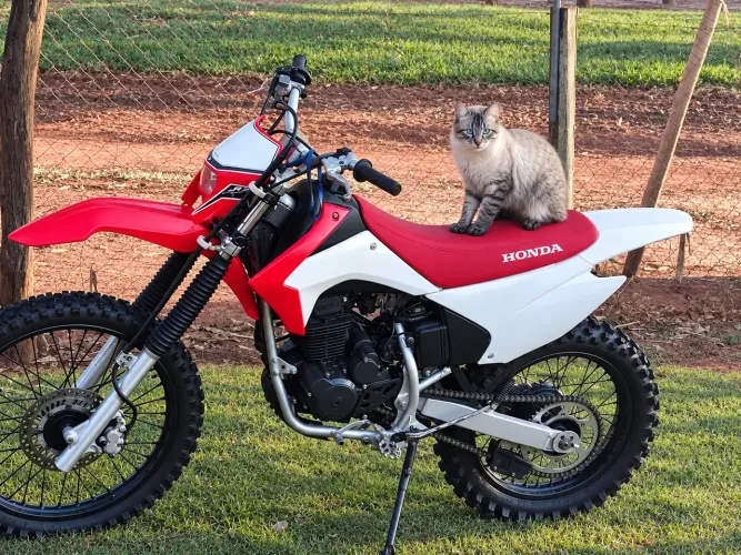 CRF 230 ano 2013