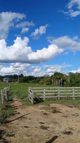 Vende-se fazenda com 200 hectares