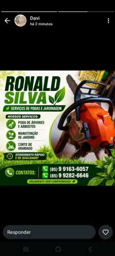 Serviços de jardinagem, poldas e derrubas de arvores