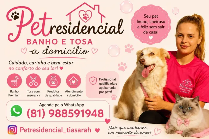 Banho e Tosa a Domicílio Seu pet merece conforto 