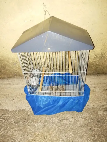Gaiola