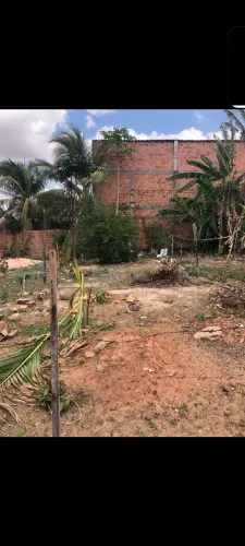 Terreno, vizinhança boa e tranquila.