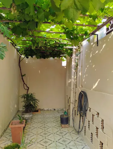 Casa colonial dóis provimento
