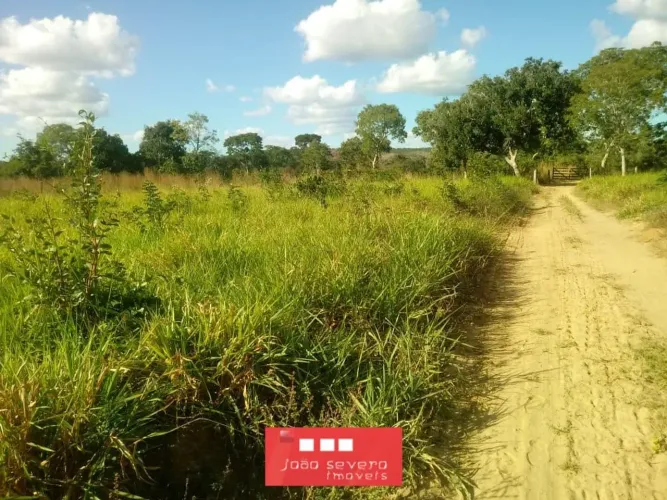 Fazenda para Venda em Arinos