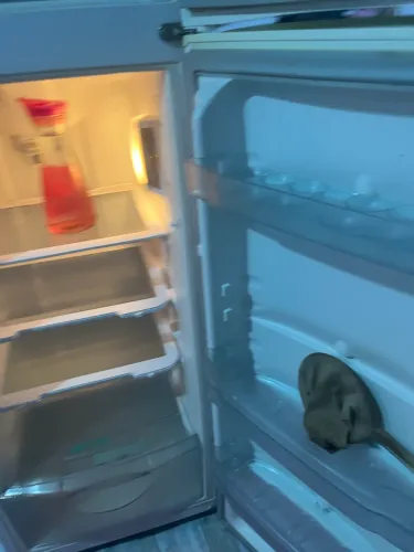 Vendo geladeira da marca cônsul em ótimo estado!divido no cartão *