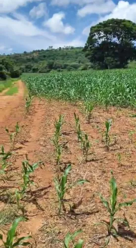 Imóvel para venda possui 350900 metros quadrados em Zona Rural - Monte Santo de Minas - MG