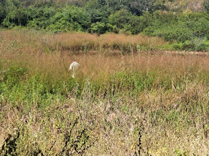 Vende se um Terreno Lindo