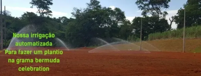 Grama São Carlos Direto do Produtor Rural