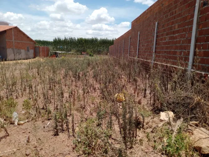 Terreno em São Sebastião Alagoas 8x39