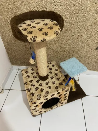 Casa arranhador para gatos