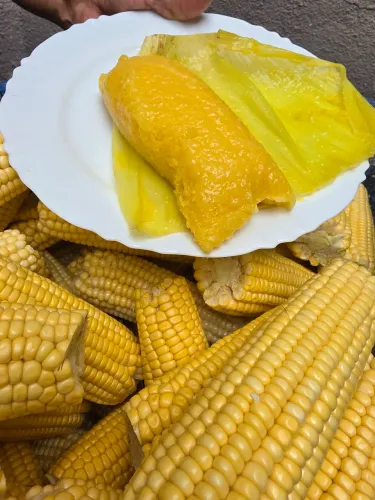 Auxiliar de cozinha com experiência com produto de milho