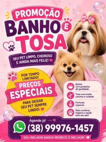 Banho e tosa e Petshop.