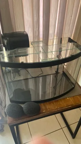 Vendo Aquário de 68 L com Filtro e Termostato