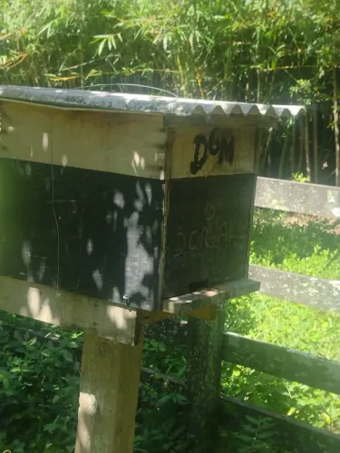 Caixas de abelhas com kit apicultura 