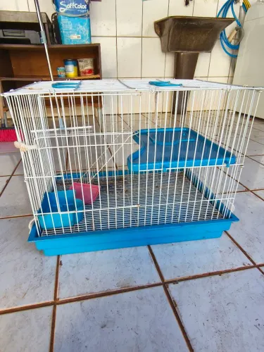 Vendo gaiola para porquinho da índia