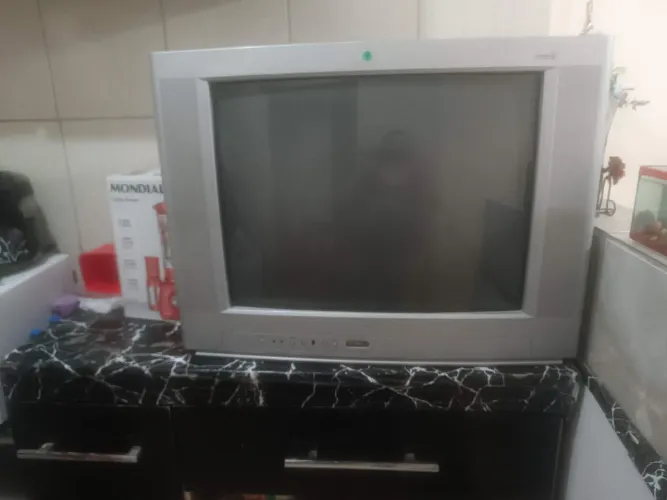 Televisão