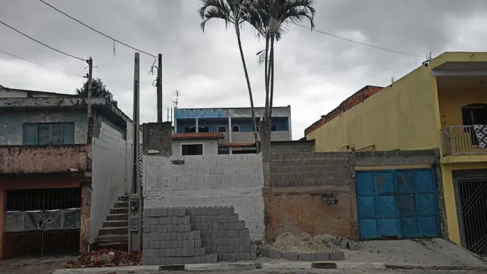 Doação de palmeira