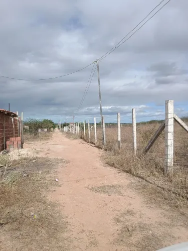 Terreno 