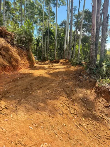 Oportunidade!!! Vendo terrenos em São Bonifácio SC