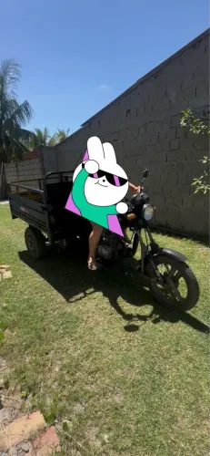 Triciclo carga