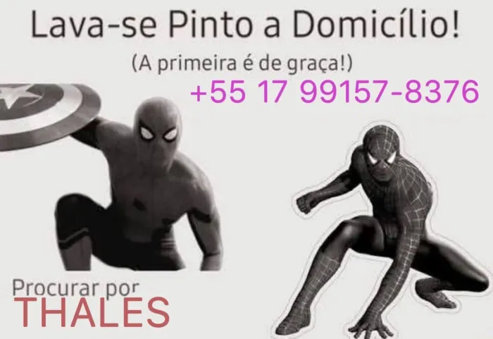 Lava-se pinto a domicílio