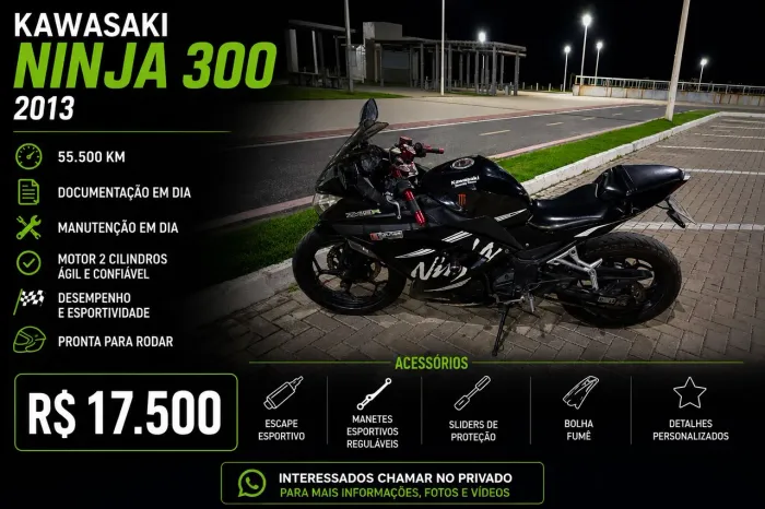 ? Kawasaki Ninja 300 2013 | 55 Mil Km | Escape Esportivo
