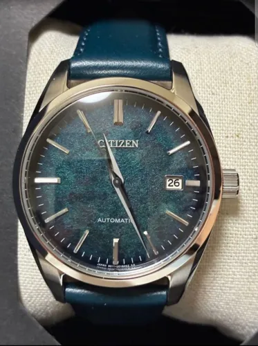 Citizen silver leaf nb1060 