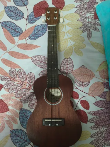 Ukulele Concert